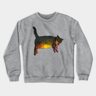 Rainbow Belly Crewneck Sweatshirt